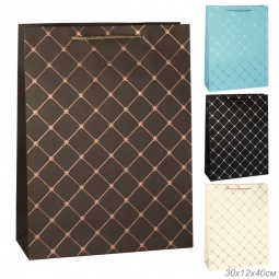 Пакет FD-10A L (40х30х12)